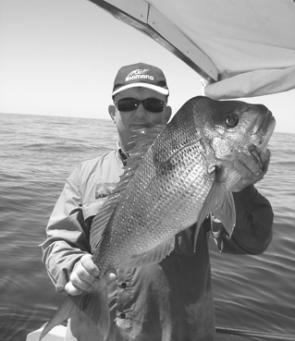 When the snapper start to get this big, they are well worth the effort and drama at the boat ramps.
